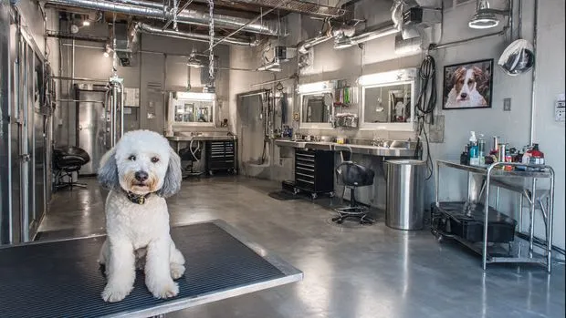  DESLY'S PET GROOMING