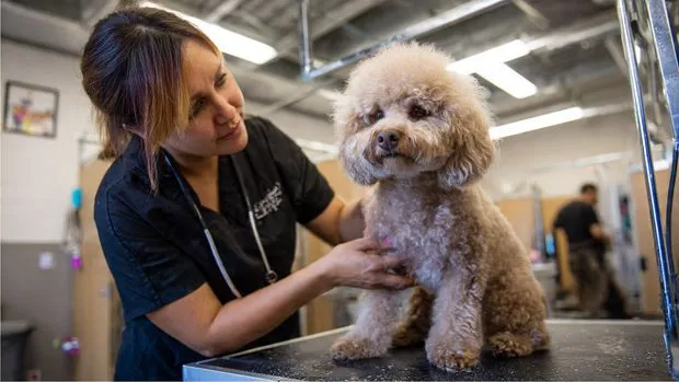 Furside East Atlanta Pet Grooming
