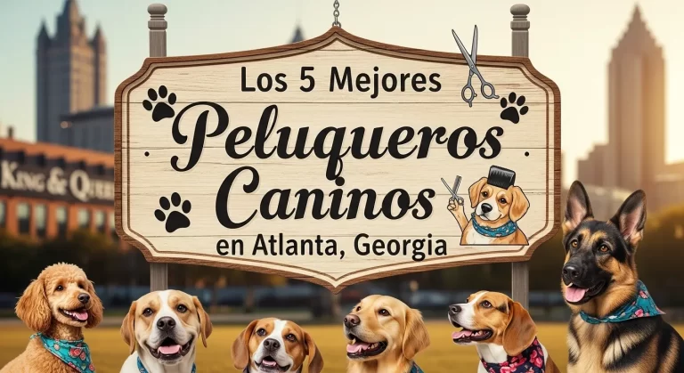 Las 5 Mejores Peluquerías Caninas en Atlanta, Georgia 🍑 – tu ruta paw-friendly desde Piedmont Park hasta el BeltLine