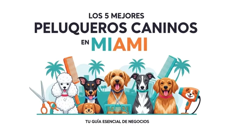 Las 5 Mejores Peluquerías Caninas en Miami