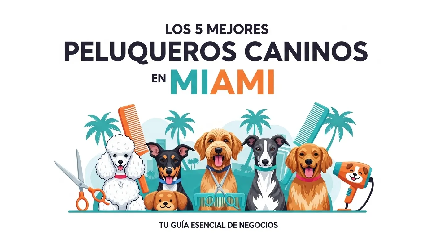 Las 5 Mejores Peluquerías Caninas en Miami